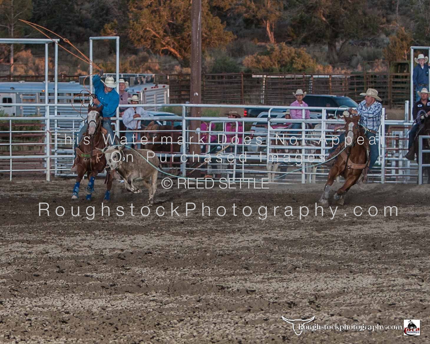 Team Roping Rodeo/Event 2018 Ute Mountain Roundup RodeoPRCA