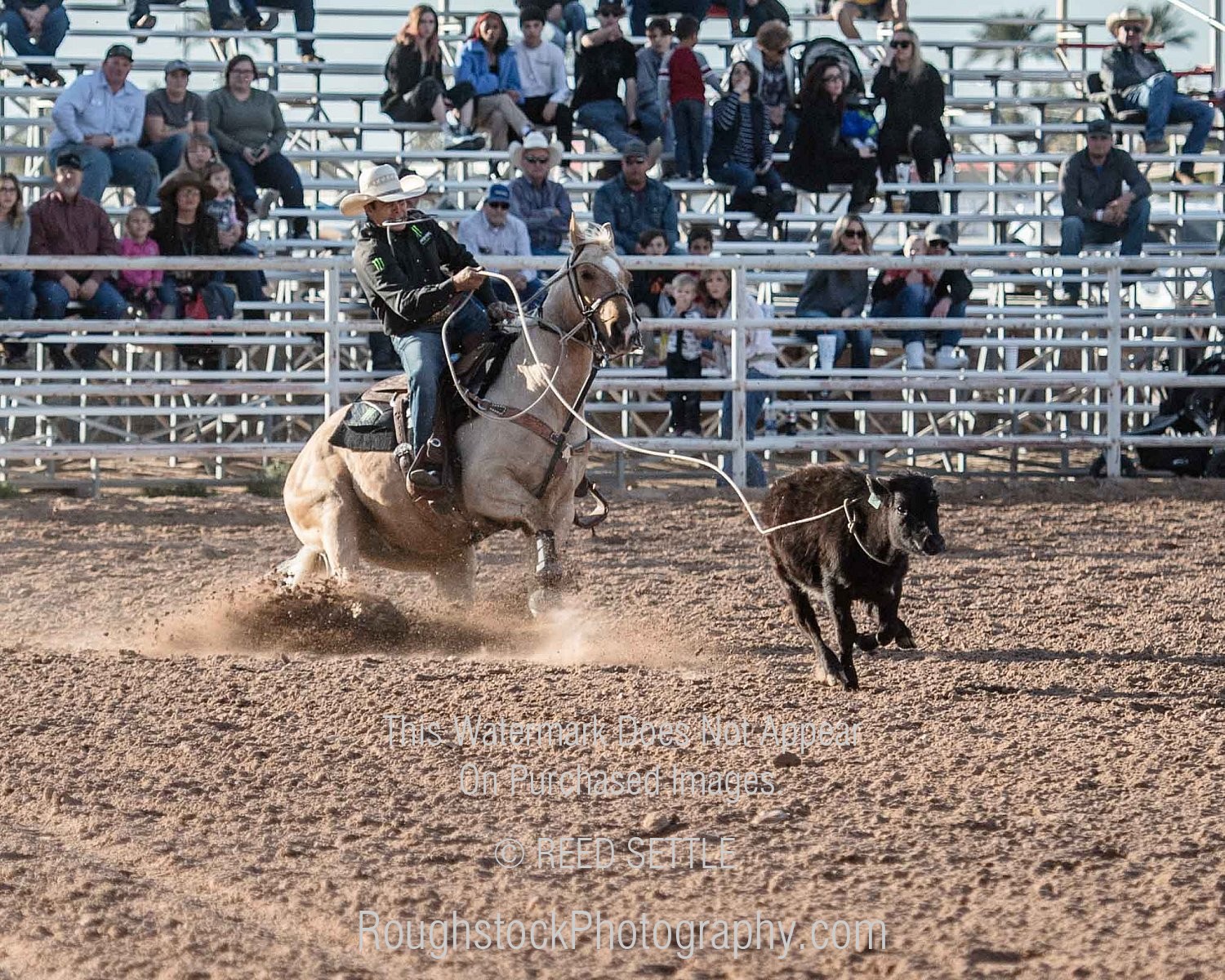 Tie Down Rodeo/Event 2019 Yuma Silver Spur PRCA Rodeo Perf 1 Timed Events