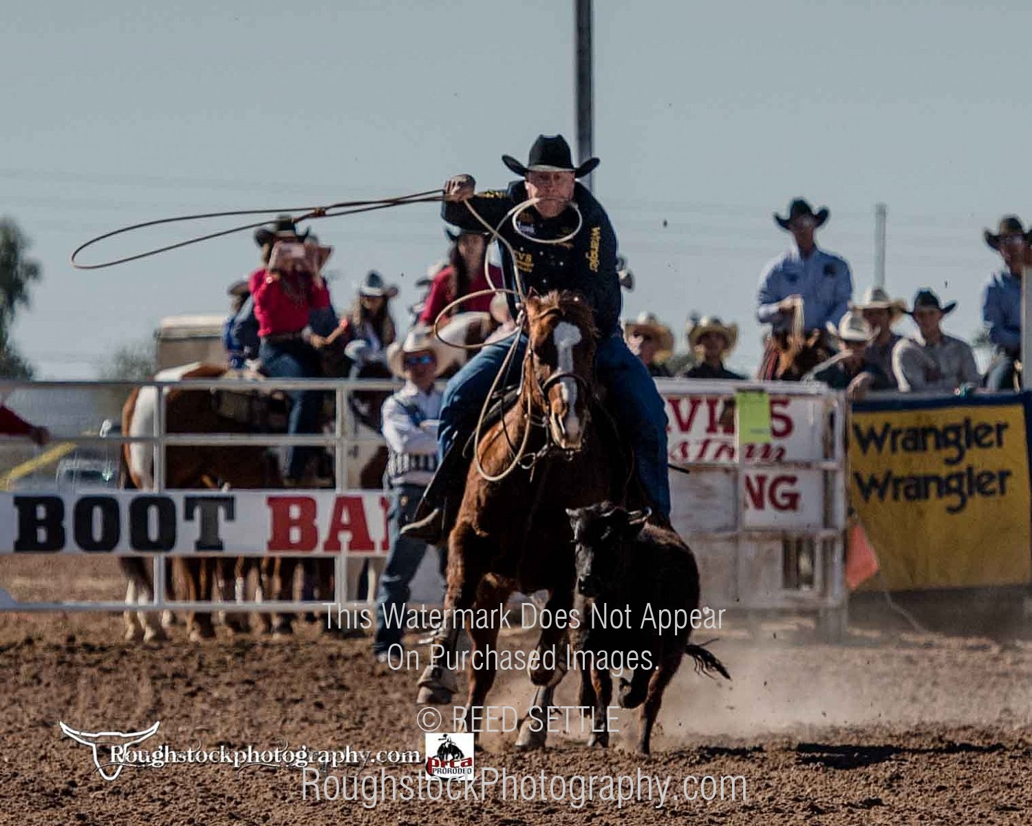 Tie Down Rodeo/Event 2019 Yuma Silver Spur PRCA Rodeo Perf 3