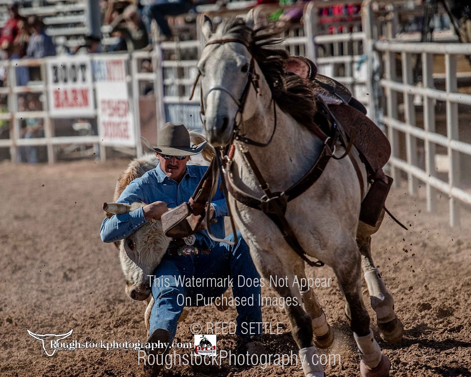 Steer Wrestling Rodeo/Event 2019 Yuma Silver Spur PRCA Rodeo Perf 3 Timed Events