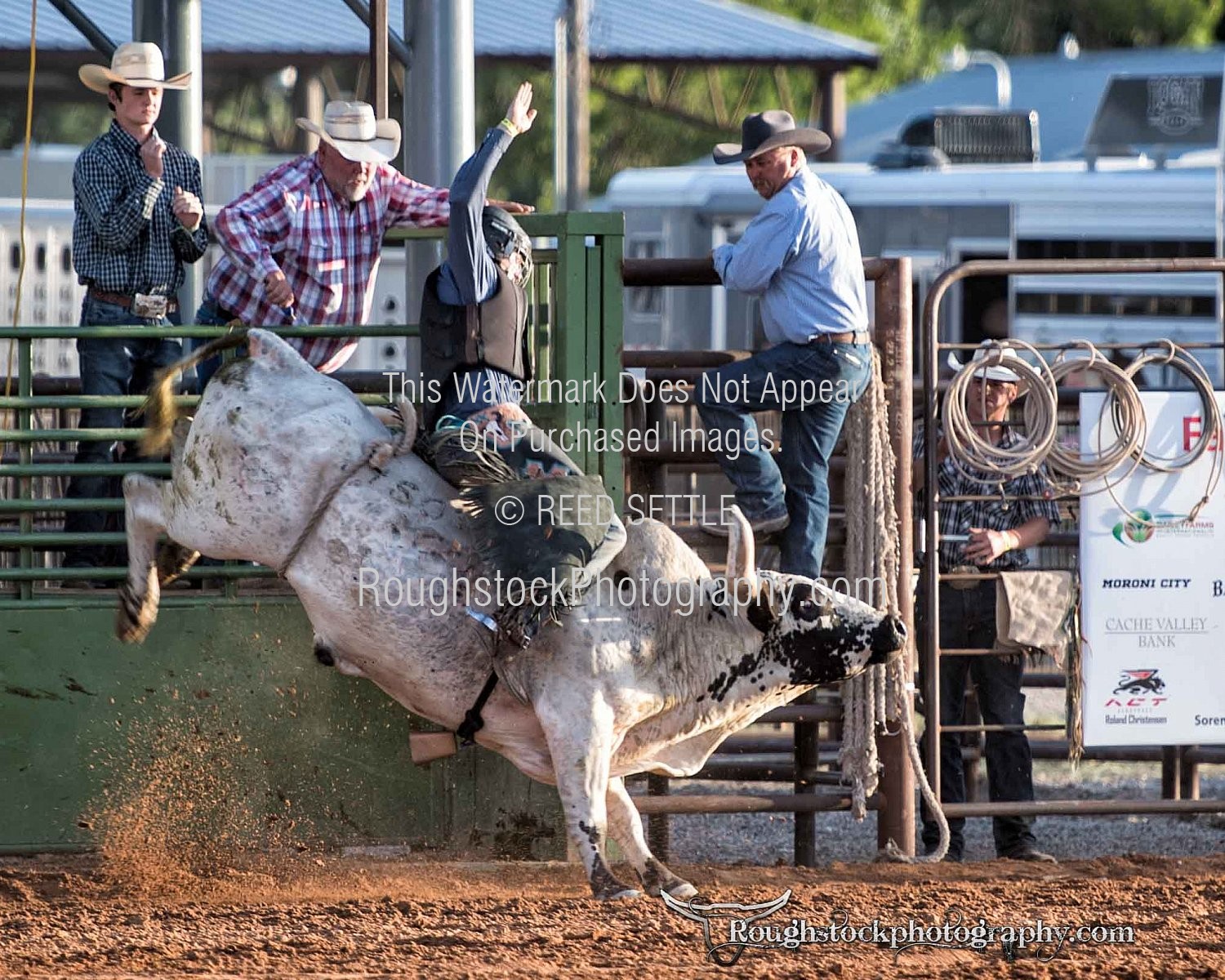 Bulls Rodeo/Event 2019 Sanpete County Fair Manti Rodeo RMPRA