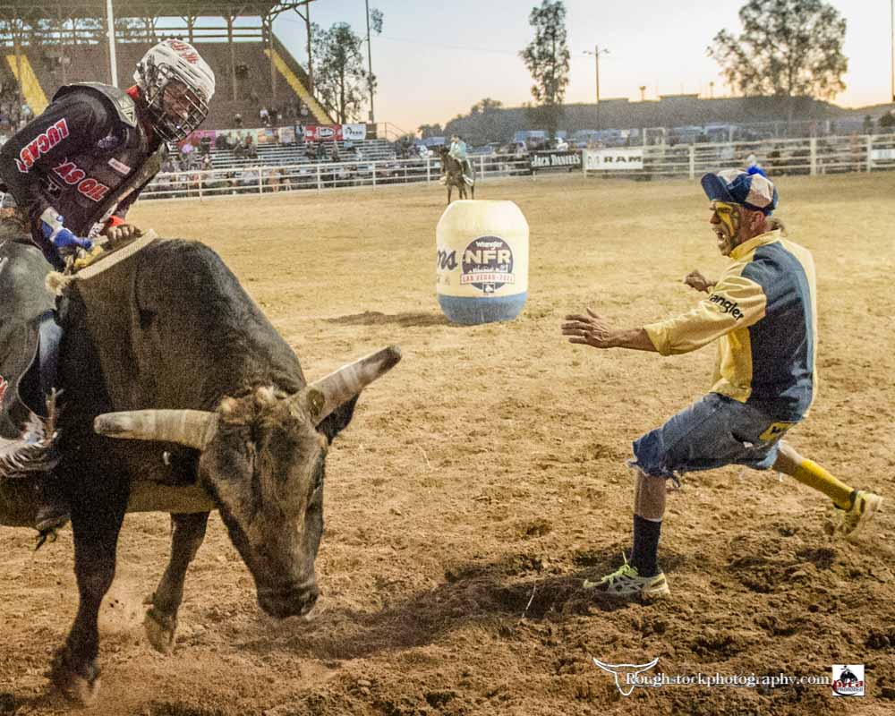 Rodeo/Event - 2022 - Yuma 2022 - roughstockphotography.com