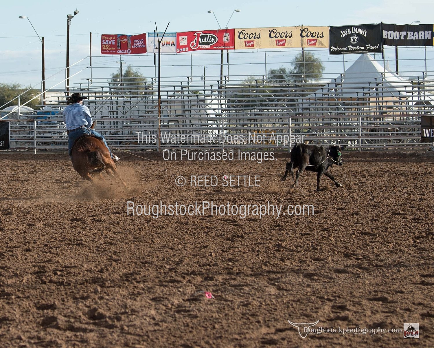 Steer Roping Sec 2 Rodeo/Event 2024 Yuma PRCA Slack 1 Fri Morn