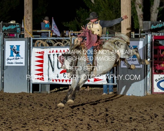 SaddleBronc