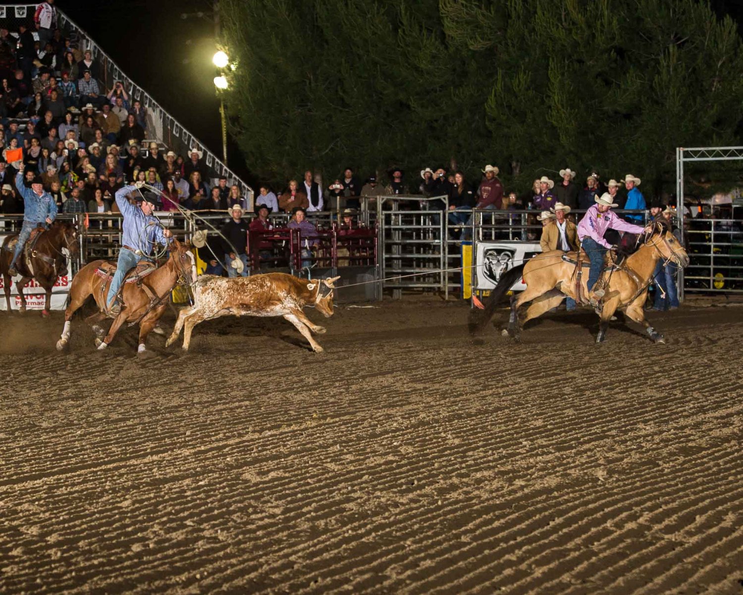 Team Roping - Rodeo/Event - 2016 - Ramona PRCA Rodeo - Perf 2 - Timed ...