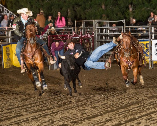 Steer Wrestling