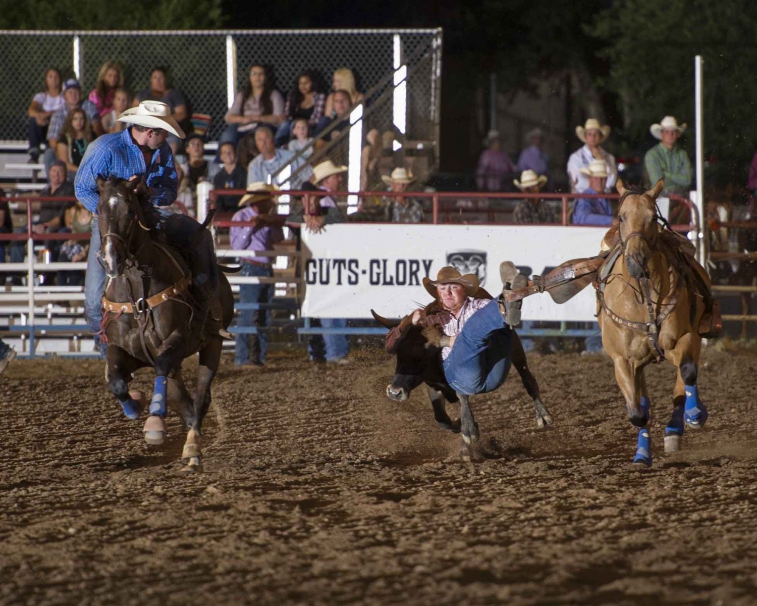 Steer Wrestling