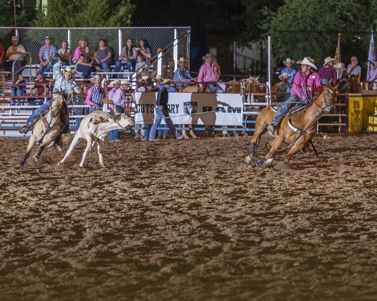 Team Roping