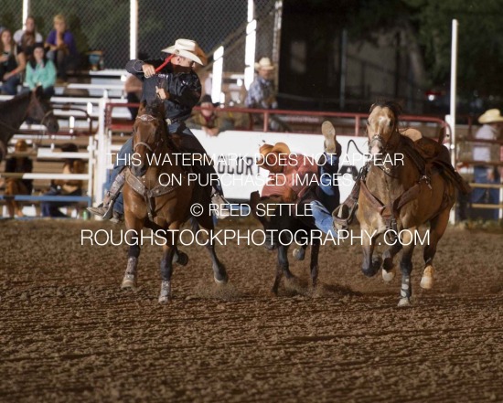 Steer Wrestling