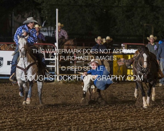 Steer Wrestling