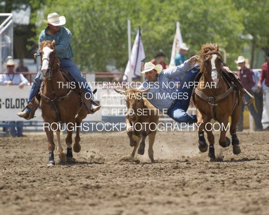 Steer Wrestling