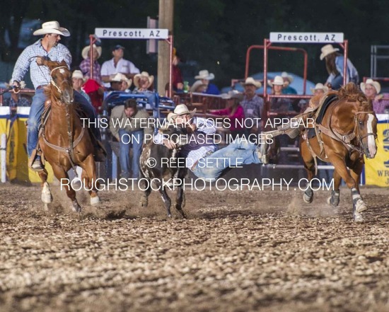 Steer Wrestling