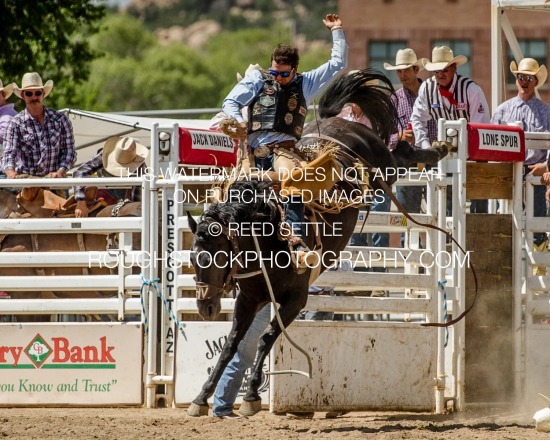 SaddleBronc