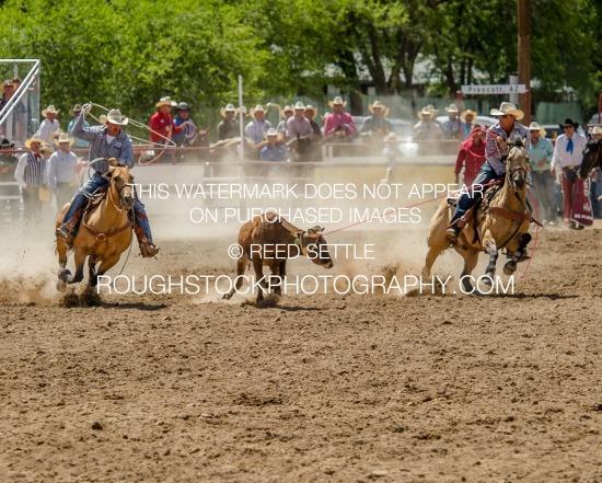 Team Roping