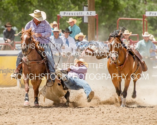 Steer Wrestling