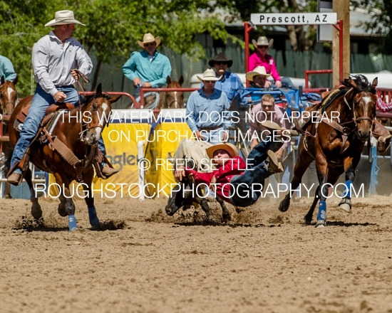 Steer Wrestling