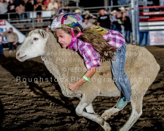 Mutton Bustin