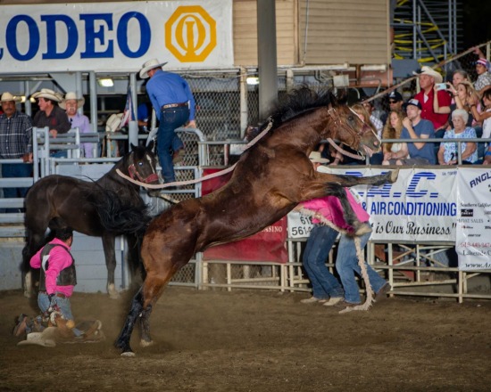 Xtreme Broncs Section 1 and 2