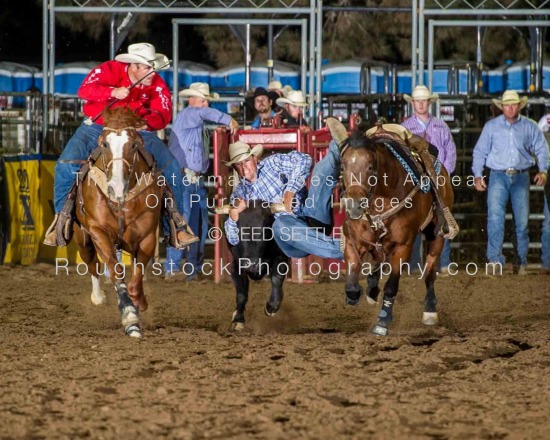 Steer Wrestling