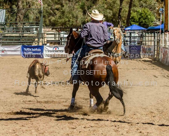 Team Roping