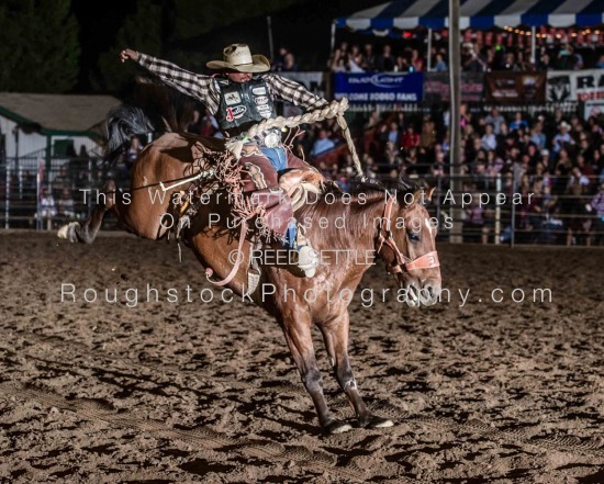 SaddleBronc