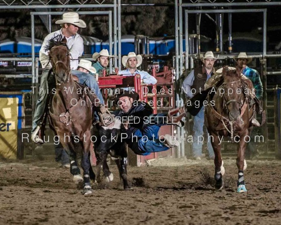 Steer Wrestling