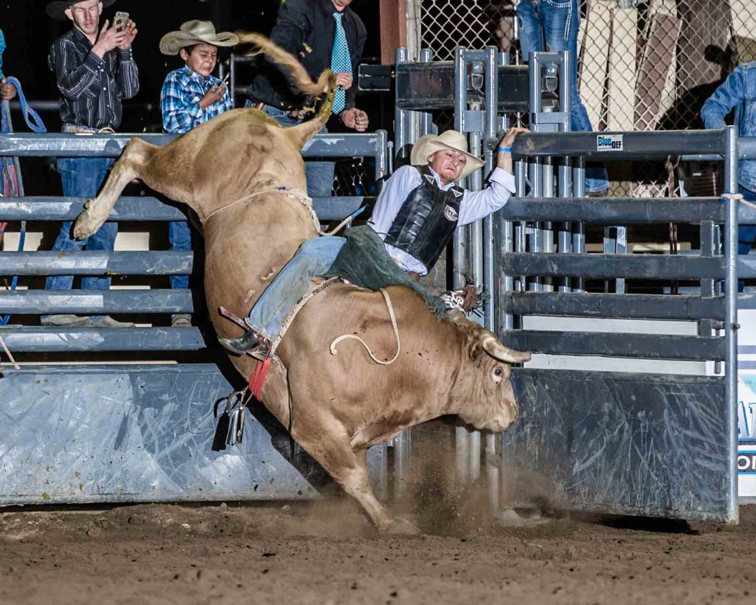 Roughstock