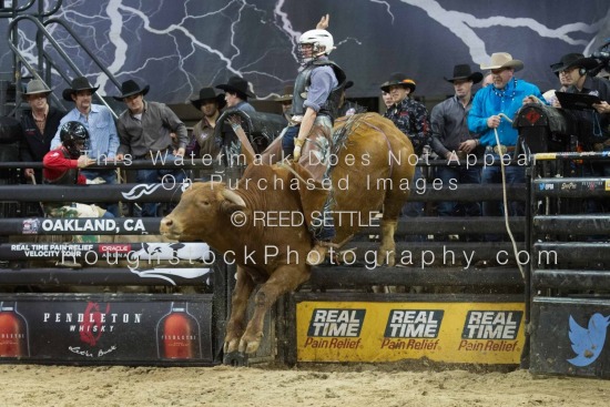 Championship Round and Buckle Presentation