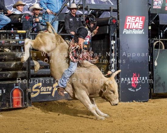 Championship Round and Buckle Presentation