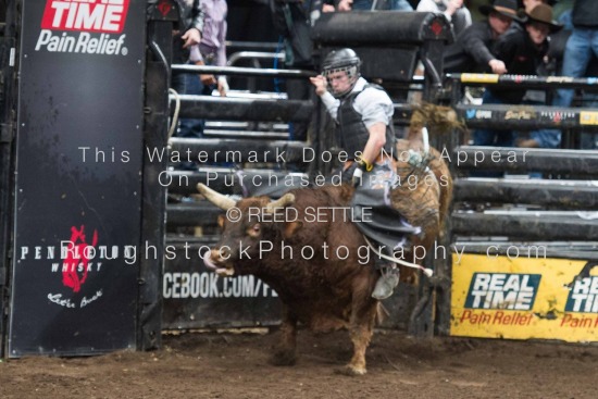 Championship Round and Buckle Presentation