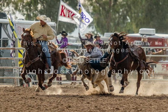 Steer Wrestling