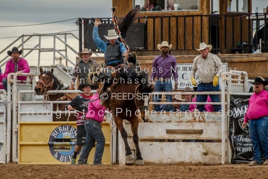 SaddleBronc