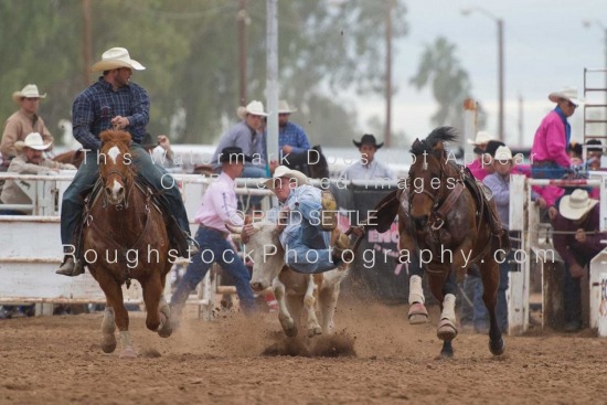 Steer Wrestling