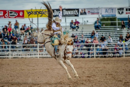 SaddleBronc