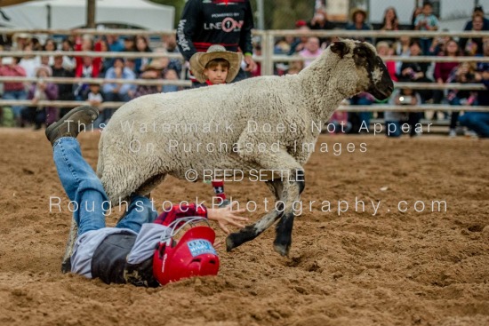 Mutton  Bustin