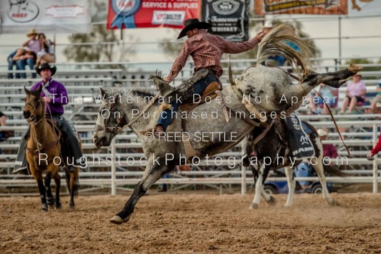 SaddleBronc