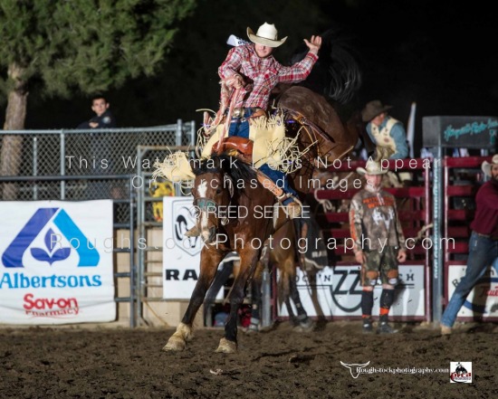 SaddleBronc