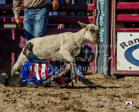 Mutton Bustin