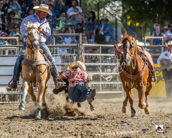 Steer Wrestling