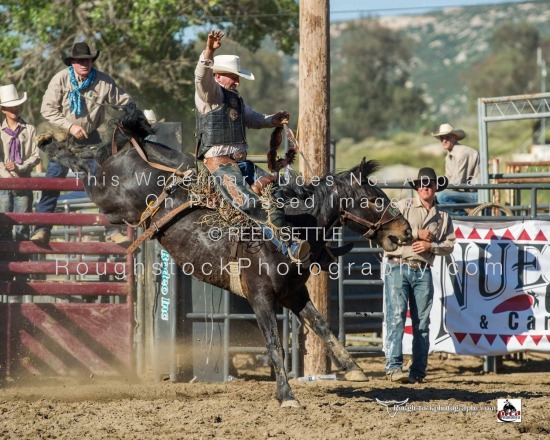 SaddleBronc