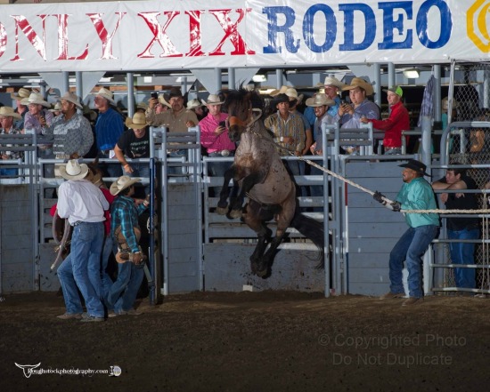 Extreme Bronc Riding - Section 2