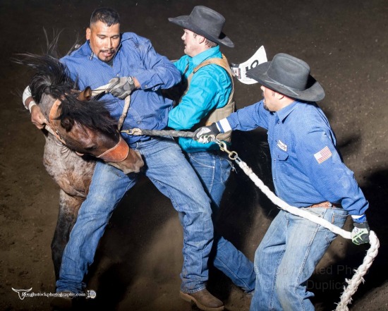 Extreme Bronc Riding - Section 1