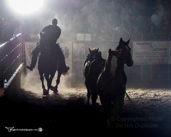 Extreme Bronc Riding - Section 2