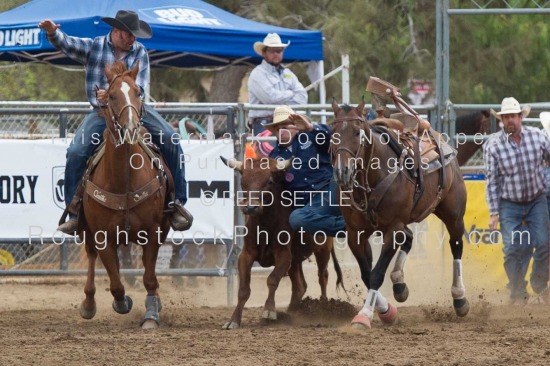 Steer Wrestling