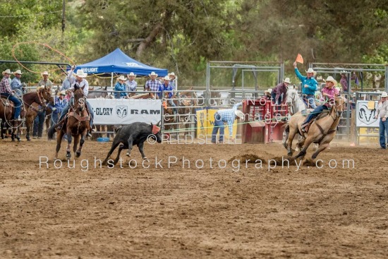 Team Roping