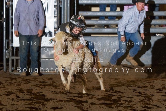 Mutton Bustin