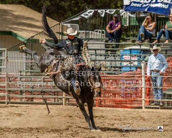 Saddle Bronc