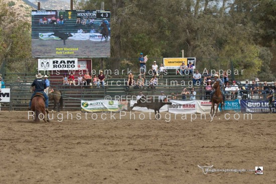 Team Roping