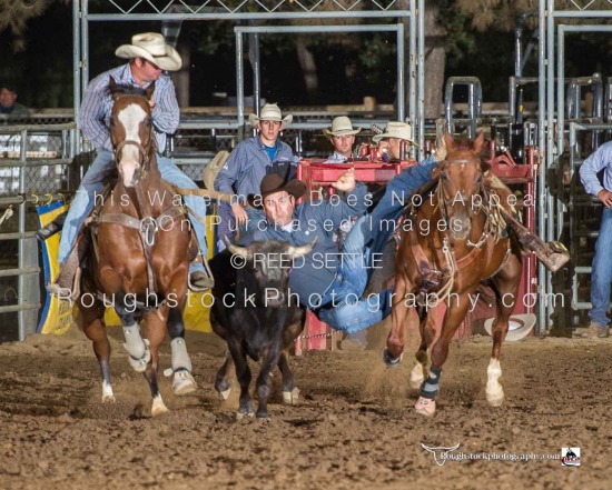 Steer Wrestling