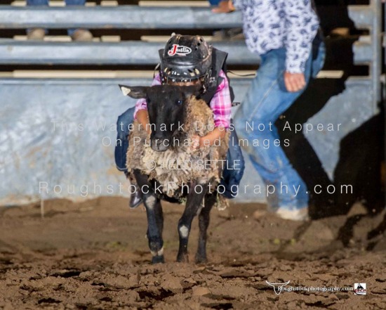 Mutton Bustin